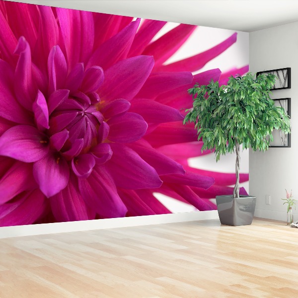 Stenska fototapeta Dahlia pink