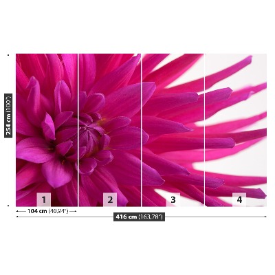 Stenska fototapeta Dahlia pink