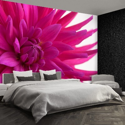 Stenska fototapeta Dahlia pink