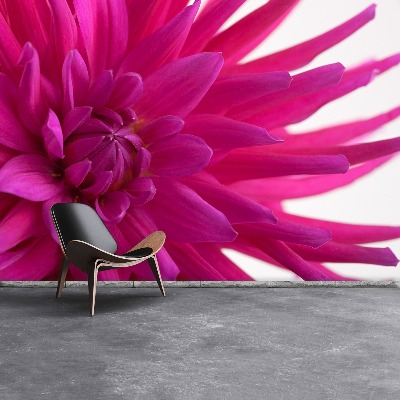 Stenska fototapeta Dahlia pink