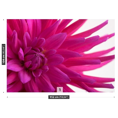 Stenska fototapeta Dahlia pink