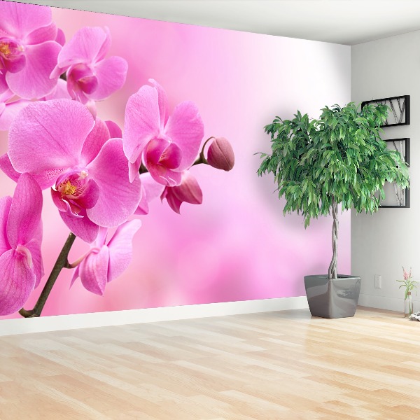 Stenska fototapeta Roza orhideje