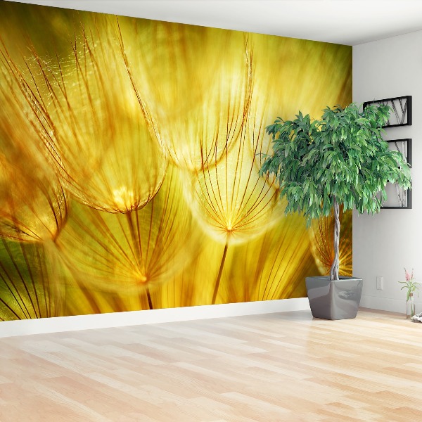 Stenska fototapeta Dandelion gold