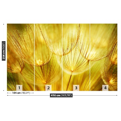 Stenska fototapeta Dandelion gold