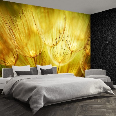 Stenska fototapeta Dandelion gold