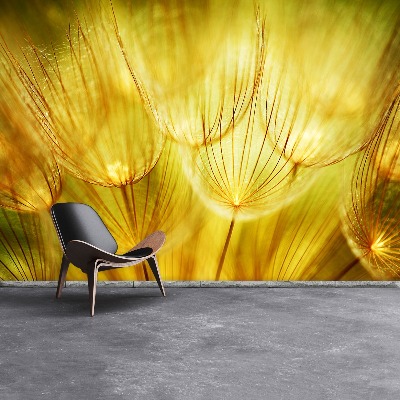 Stenska fototapeta Dandelion gold