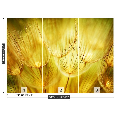 Stenska fototapeta Dandelion gold