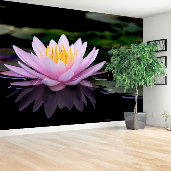 Stenska fototapeta Pink lotus