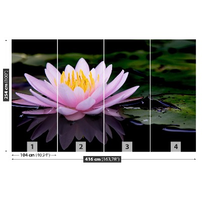 Stenska fototapeta Pink lotus