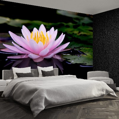 Stenska fototapeta Pink lotus