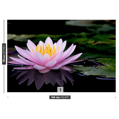 Stenska fototapeta Pink lotus