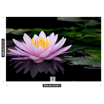 Stenska fototapeta Pink lotus