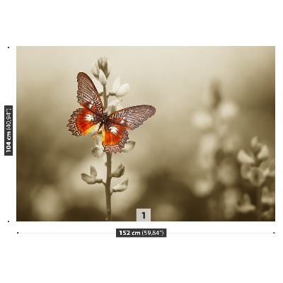 Stenska fototapeta Metulj cvetje