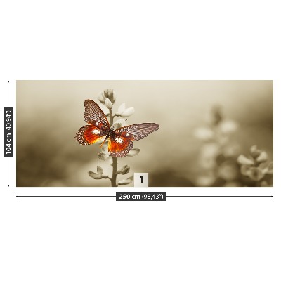 Stenska fototapeta Metulj cvetje