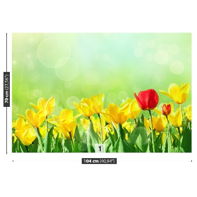 Stenska fototapeta Rumena tulipani