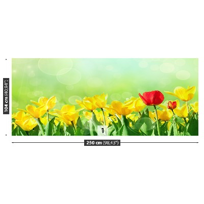 Stenska fototapeta Rumena tulipani