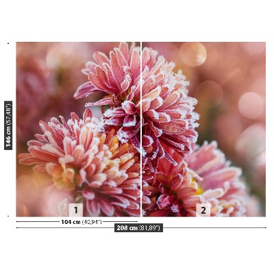 Stenska fototapeta Aster pink ice