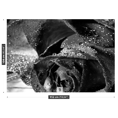 Stenska fototapeta Rose vode