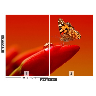 Stenska fototapeta Tulipanov metulj