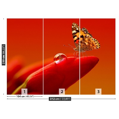 Stenska fototapeta Tulipanov metulj