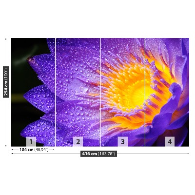 Stenska fototapeta Purple lotus