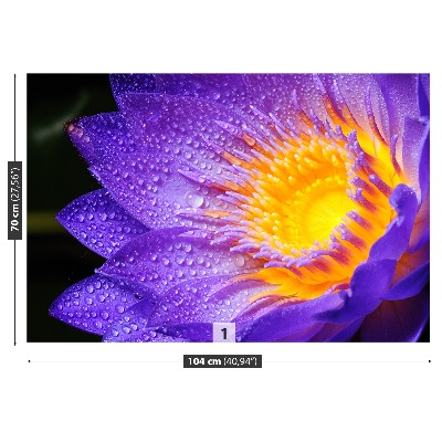 Stenska fototapeta Purple lotus