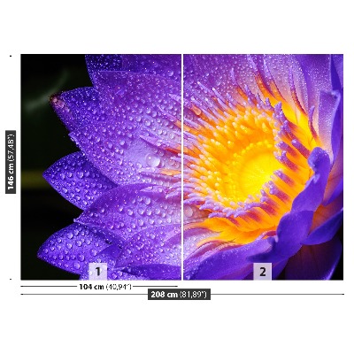 Stenska fototapeta Purple lotus