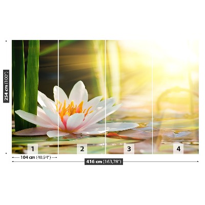 Stenska fototapeta Lotus ribnik