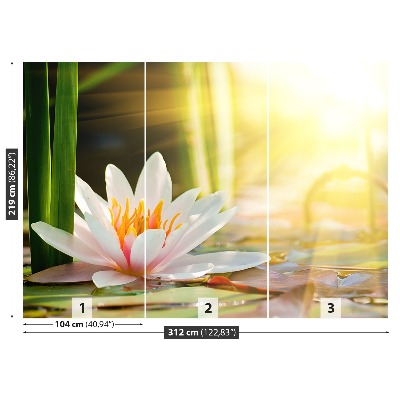 Stenska fototapeta Lotus ribnik