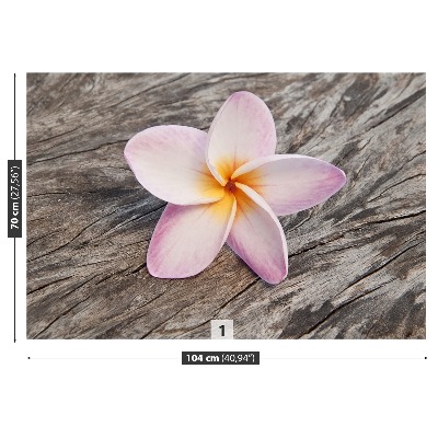 Stenska fototapeta Frangipani wood