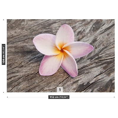 Stenska fototapeta Frangipani wood