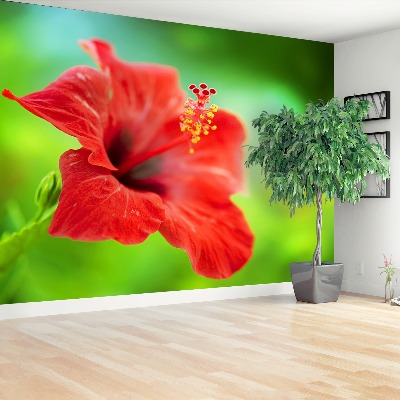 Stenska fototapeta Red hibiskus