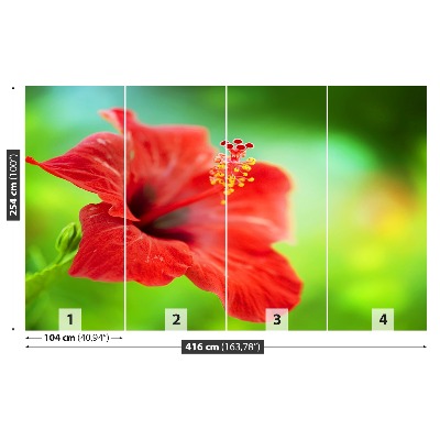 Stenska fototapeta Red hibiskus