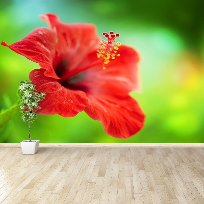 Stenska fototapeta Red hibiskus