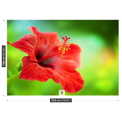 Stenska fototapeta Red hibiskus