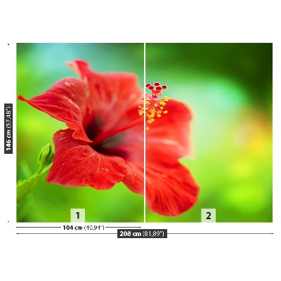 Stenska fototapeta Red hibiskus