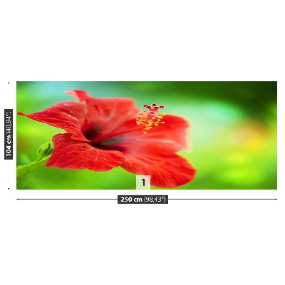 Stenska fototapeta Red hibiskus