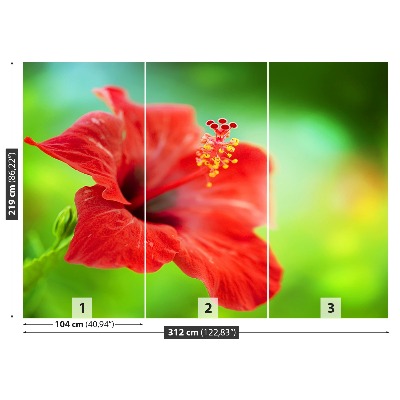 Stenska fototapeta Red hibiskus