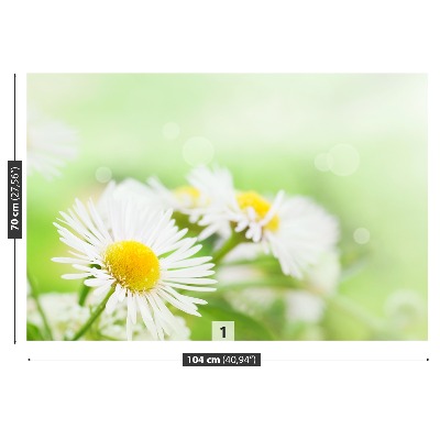 Stenska fototapeta Daisy green