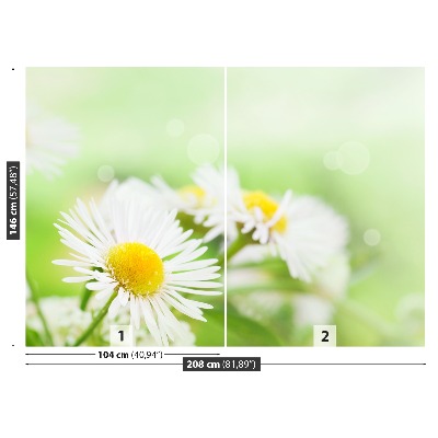 Stenska fototapeta Daisy green