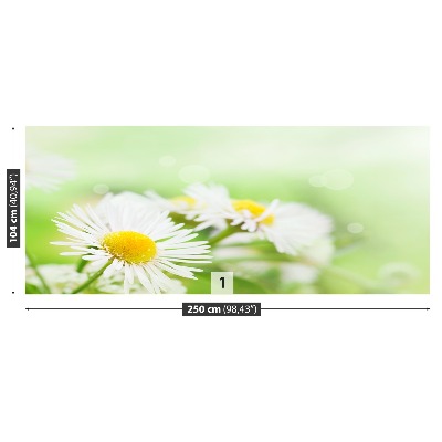 Stenska fototapeta Daisy green