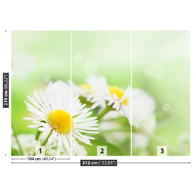 Stenska fototapeta Daisy green