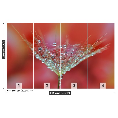 Stenska fototapeta Dandelion red