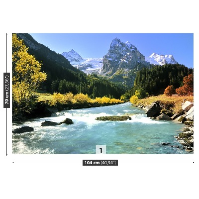 Stenska fototapeta Swiss alps