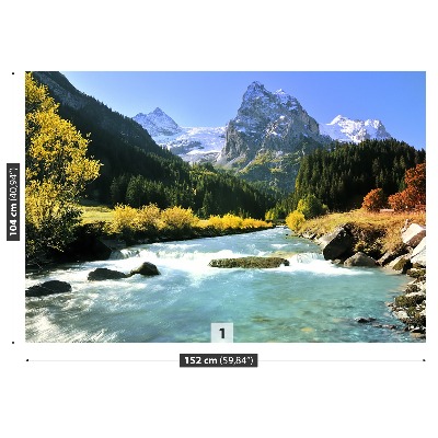 Stenska fototapeta Swiss alps