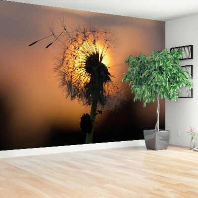 Stenska fototapeta Dandelion sonce