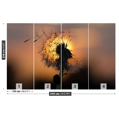 Stenska fototapeta Dandelion sonce