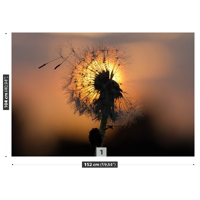Stenska fototapeta Dandelion sonce