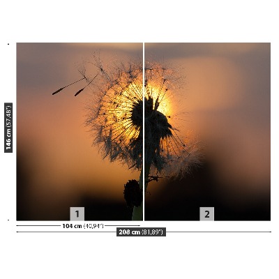 Stenska fototapeta Dandelion sonce