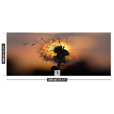 Stenska fototapeta Dandelion sonce